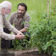 Image for article titled The fourth week of our TV Reviews section takes a wider view, then dissects The Walking Dead